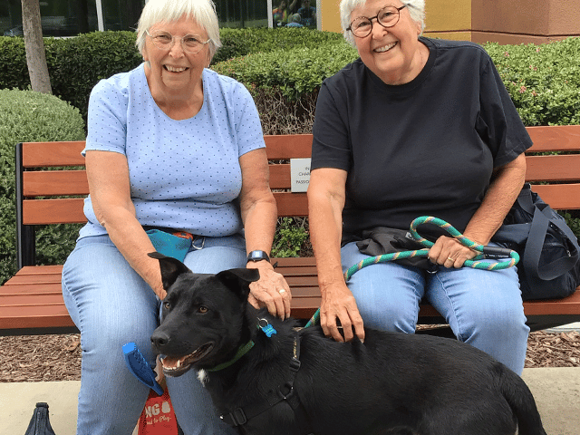 Two women sitting on a bench, smiling and petting a black dog with a green collar. The scene is outdoors with greenery in the background, and the women are casually dressed. The image highlights adopted pets and their new owners.