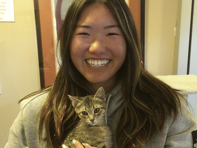 A smiling girl holding a gray tabby kitten in her arms. The background features a light-colored wall and a visible sign. This image represents the theme of adopted pets.