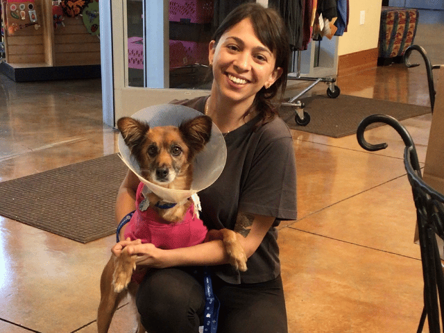 A woman smiling while holding a small dog wearing a pink sweater and an Elizabethan collar. The background shows a brightly lit room with a tiled floor and a few pet supplies nearby. This image highlights adopted pets during the recent adoption week.