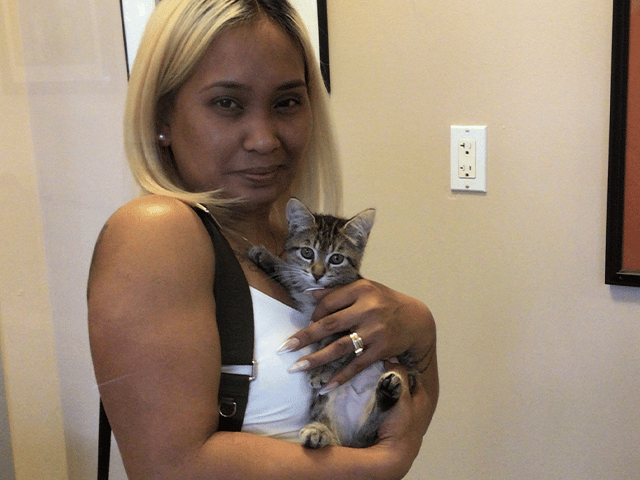 A woman with long, blonde, straight hair holds a small striped kitten in her arms, smiling at the camera. The background shows a light-colored wall and an electrical outlet, emphasizing the cozy indoor setting. The image highlights the theme of adopted pets.