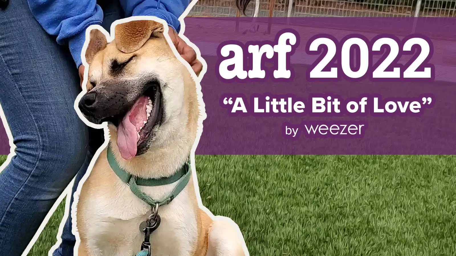 ARF’s 2022 End of Year Video