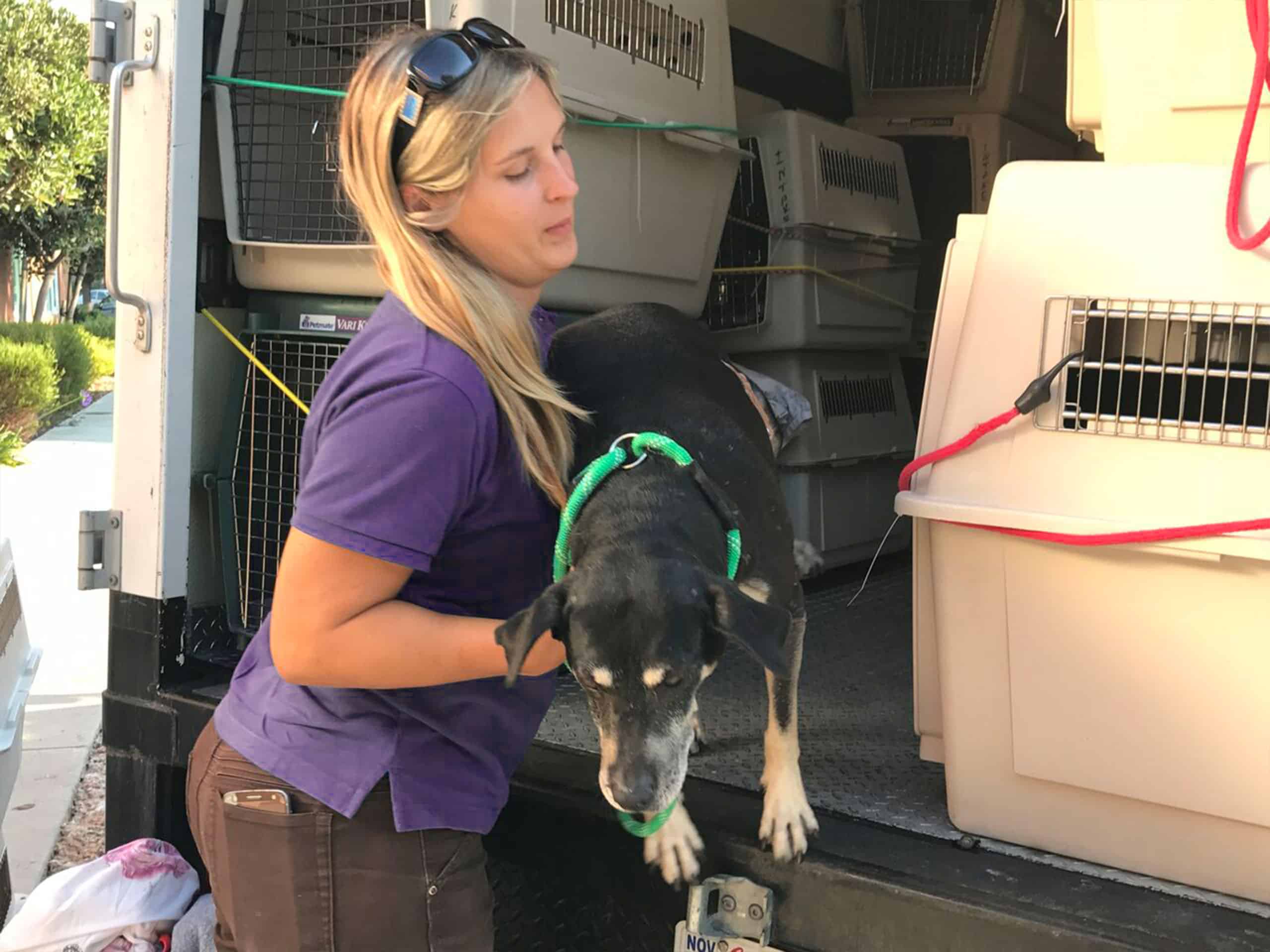 Joybound People & Pets Rescues 10 Dogs from Hoarding Situation in Stockton 