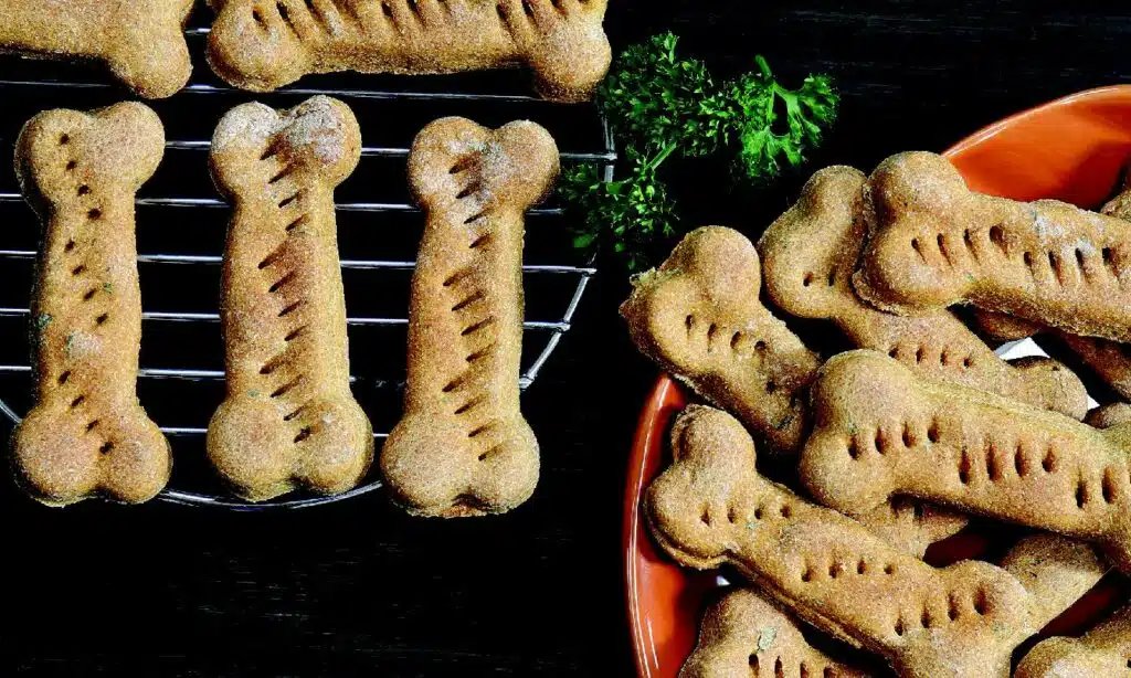 An assortment of homemade pet treats shaped like dog bones, placed on a wire rack and a round orange plate. Some treats are dusted with flour, accompanied by a sprig of parsley. The image illustrates holiday Treat Recipes for pets.
