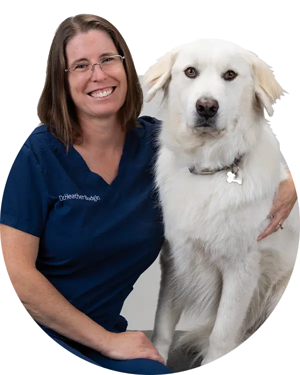 Dr. Heather is smiling while sitting next to a large white dog. She wears a navy blue scrubs uniform with her name embroidered on it. The dog looks directly at the camera, showcasing its fluffy fur, as they both sit against a neutral background.