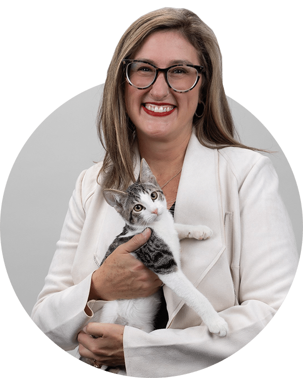 A woman with glasses wearing a white blazer holds a gray and white kitten in her arms. The background is softly blurred, focusing on her smiling expression. This image is part of the Joybound Team's introduction.