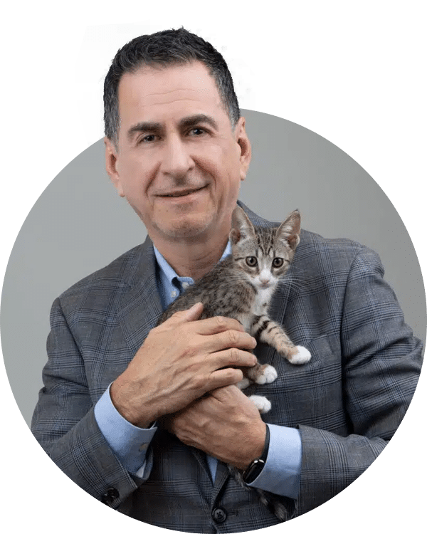 A man in a gray suit holding a kitten, smiling at the camera. The kitten is a striped cat sitting comfortably in his arms. The background is neutral, emphasizing the man and the kitten. This image represents the Joybound Team.