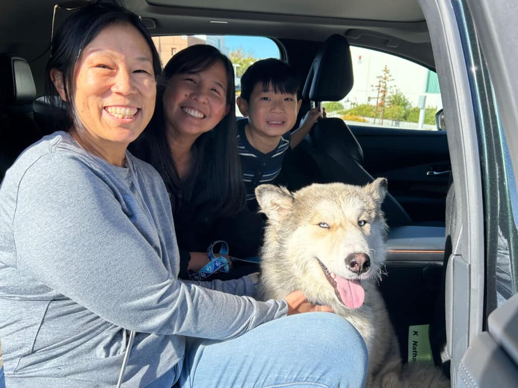 A woman and two children smile while seated in a car with a gray and white dog. The dog has its tongue out, and the scene appears bright and cheerful, suggesting a recent adoption.