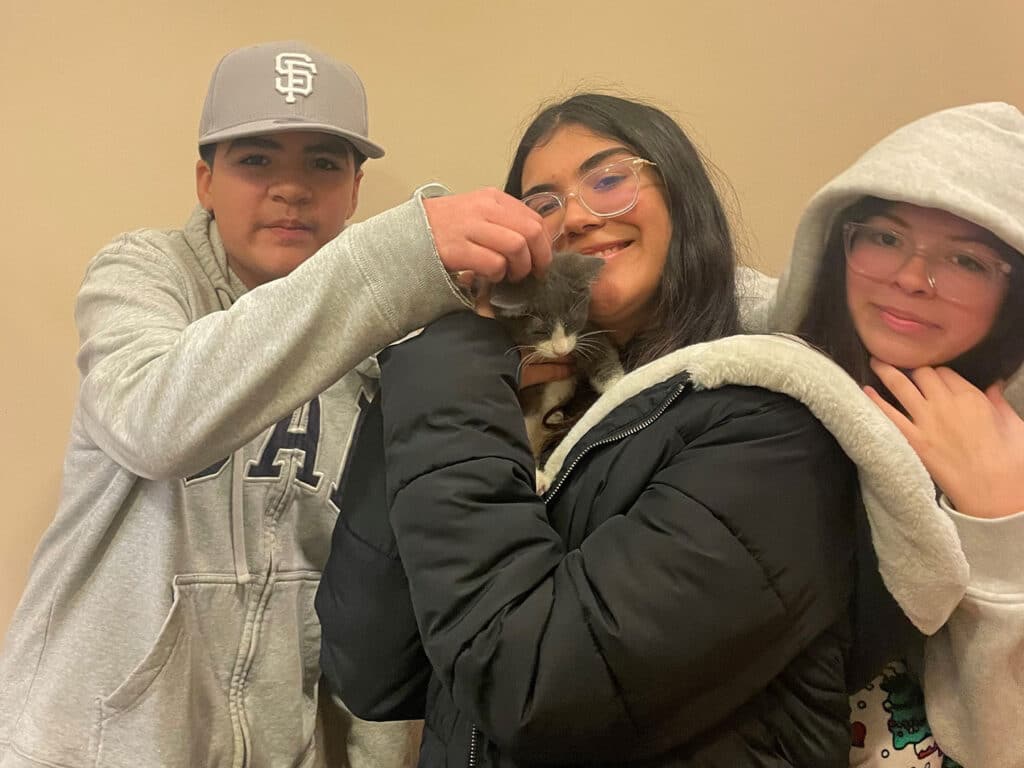 Three children are smiling together indoors, with two girls holding a gray kitten. One child gently pets the kitten, while another stands beside them. They are wearing casual winter clothing, including hoodies and a cap, in a warm-lighted interior.