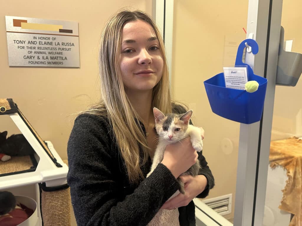A woman holding a calico kitten in a cozy adoption center. The background includes a sign honoring supporters and a blue storage bin with a toy. This image highlights the joyful moment of adoption.