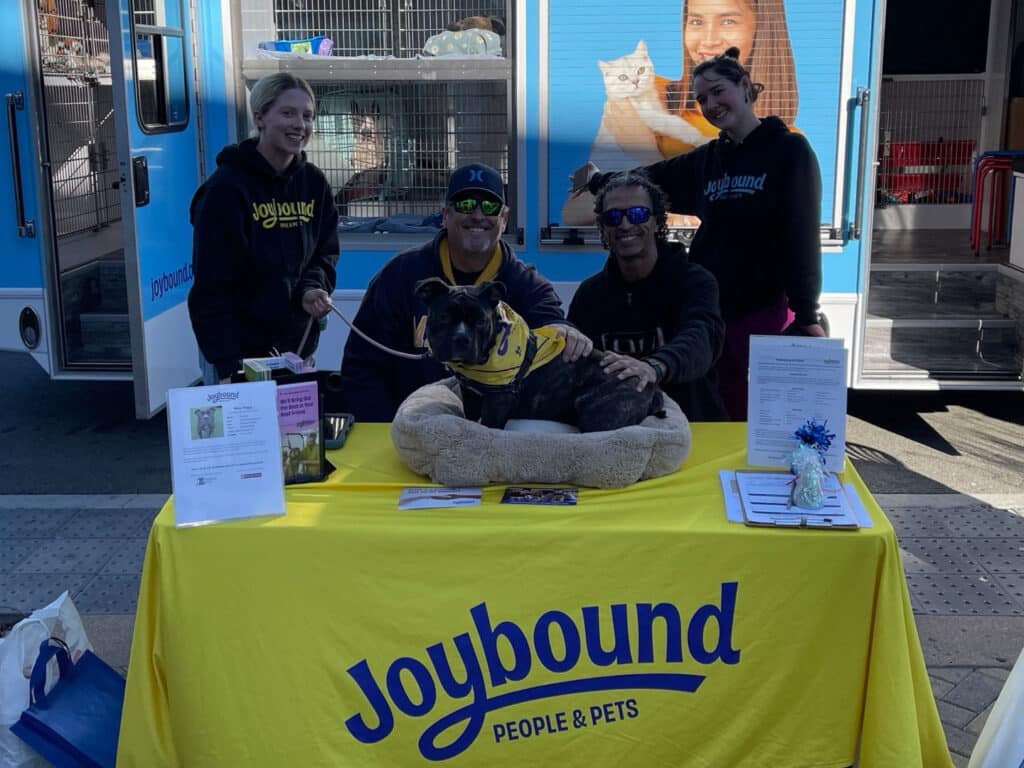 Three people are standing and sitting at a table with a yellow tablecloth featuring the logo "Joybound People & Pets." A dog sits comfortably on a soft bed in front of them. The background shows a pet adoption van and people interacting, highlighting the theme of adoption.