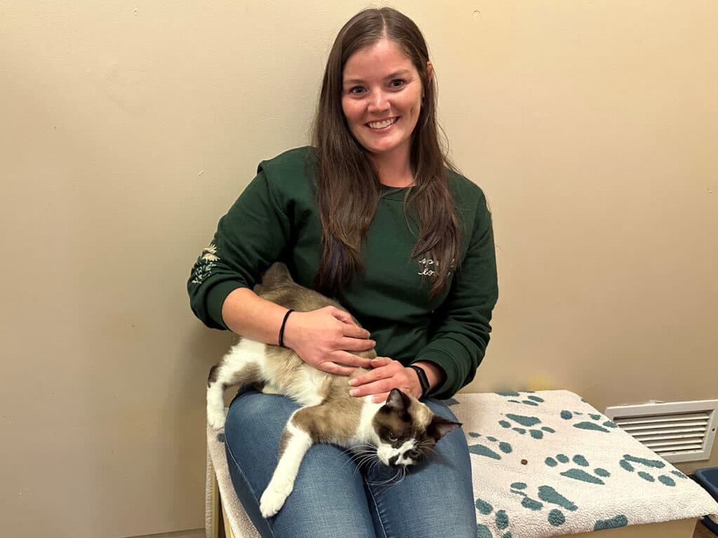 A woman with long brown hair is sitting on a bench, holding a cat in her lap. She wears a green sweater and jeans. The cat, with a white coat and dark markings, appears relaxed. The background features a beige wall and a blanket with paw prints.