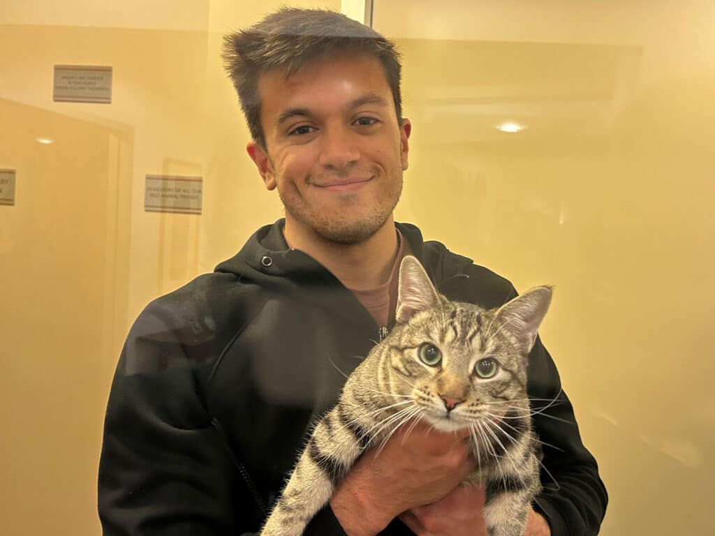 A young man wearing a black hoodie smiles while holding a striped cat in front of a glass wall. The background is a pale yellow, indicating an indoor setting related to pet adoption.
