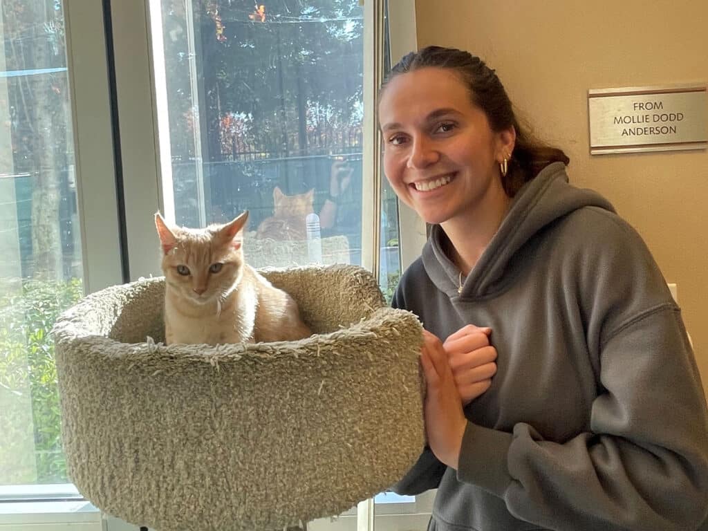 A woman smiling next to a light-colored cat sitting in a cozy pet bed. The woman is wearing a grey hoodie, and natural light is coming through the windows in the background. This image reflects the theme of adoption.