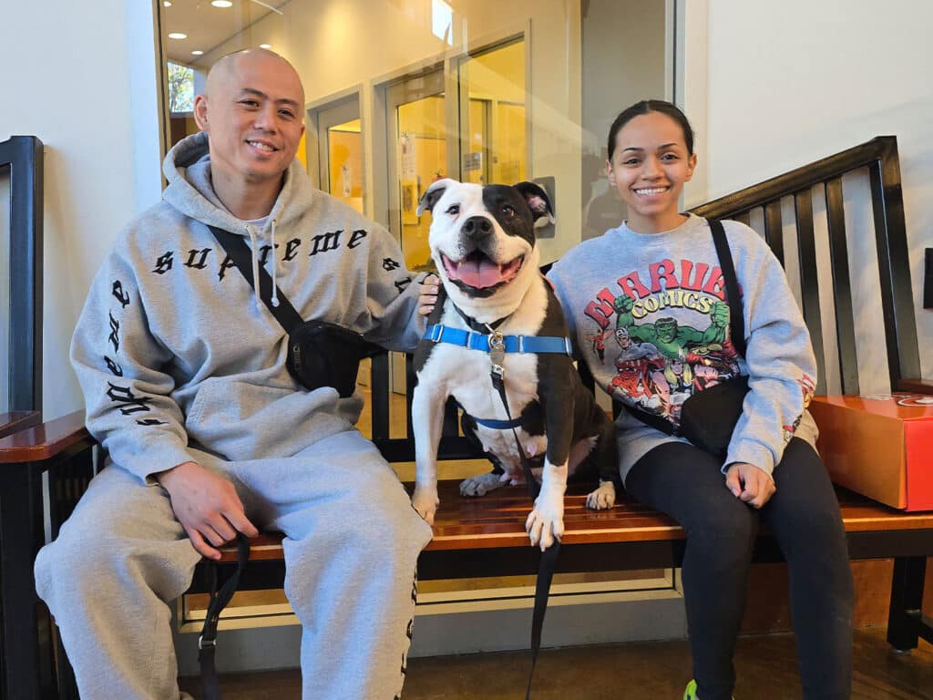 A man and a woman sitting on a bench with a smiling dog in a harness between them. The man is wearing a gray sweatshirt and sweatpants, while the woman is in a light sweater and black shorts. The setting appears to be an adoption center.