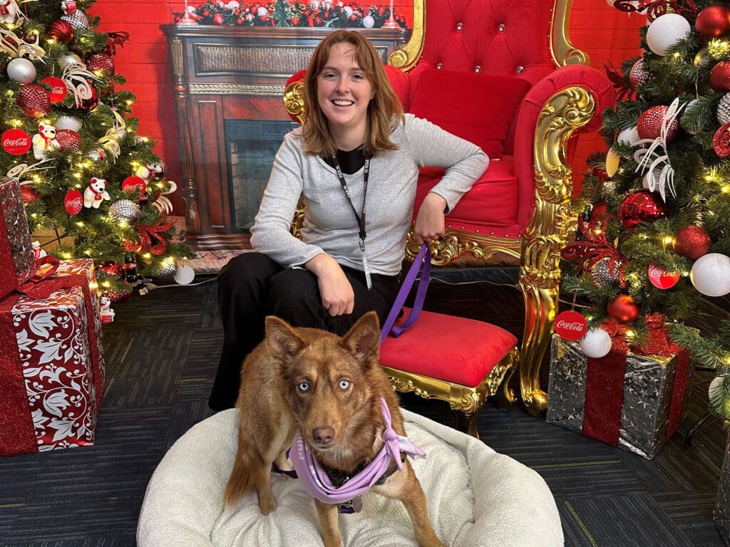 A woman sitting on a golden throne-like chair in a festive setting, smiling while holding a dog's leash. The dog, wearing a purple scarf, is lying in a cozy bed beside her. Christmas decorations and gifts are visible in the background, promoting adoption.
