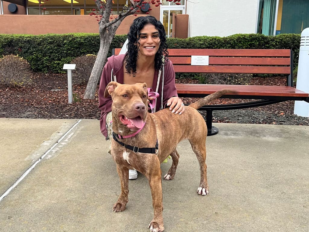 A woman smiling while standing next to a brown brindle dog outdoors. The dog is wearing a harness and appears happy. In the background, there is a bench and some greenery, indicating a public space. This image highlights a recent adoption.