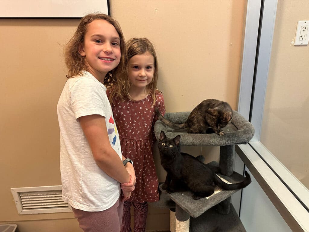 Two girls stand beside a cat tower in an animal shelter, smiling. One girl wears a white shirt and pink pants, and the other wears a patterned dress. Two cats are on the tower: a tortoiseshell on the top and a black cat on the bottom, highlighting the theme of adoption.