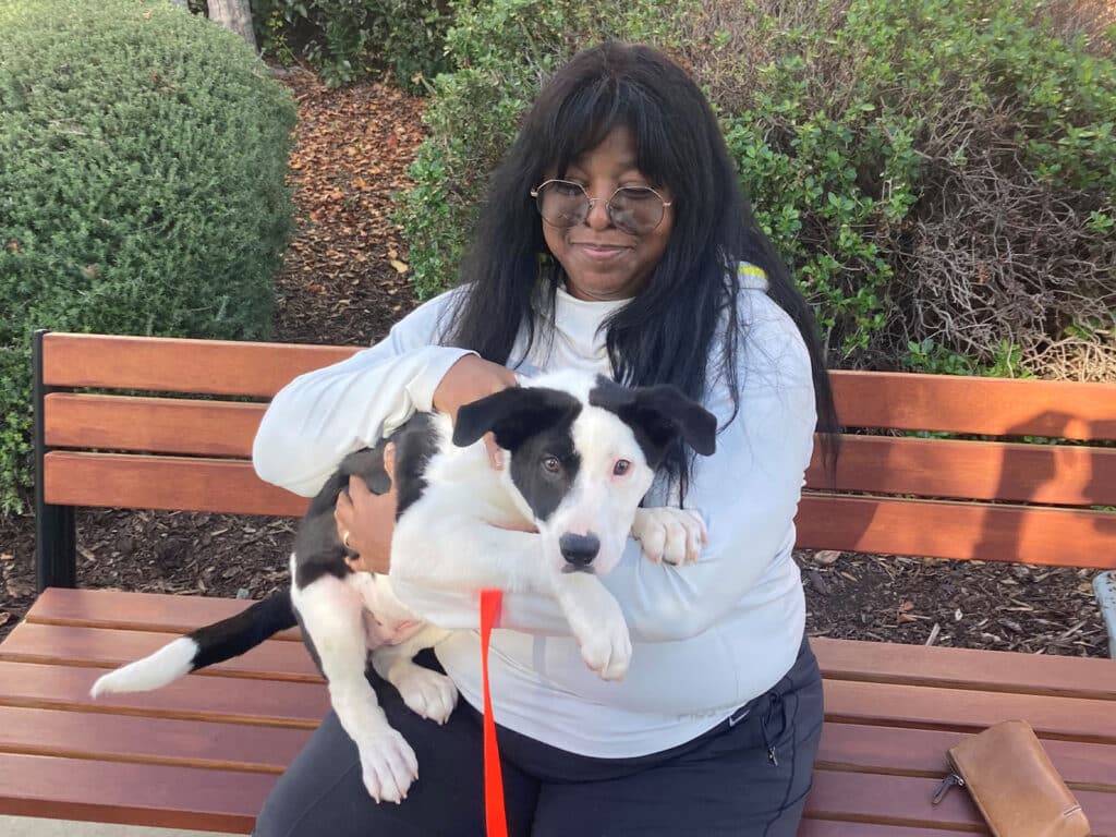 A woman sitting on a park bench holds a black and white puppy in her arms, both looking relaxed. The woman has long dark hair and glasses, wearing a light sweater. Green shrubs are in the background, emphasizing the joyful moment of pet adoption.