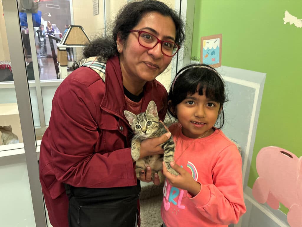 A woman in a maroon jacket and glasses holds a gray striped kitten, standing beside a girl in a pink sweatshirt who is also holding the kitten. They are positioned in an animal shelter with green walls and various animal-themed decorations.