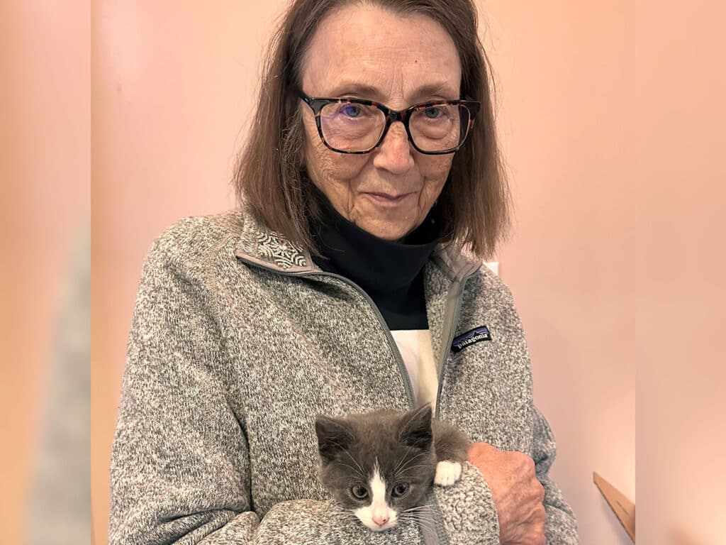 An older woman wearing glasses holds a gray and white kitten in her arms, smiling at the camera. She is dressed in a gray jacket, with a soft pink background behind her. The image highlights a moment of adoption.