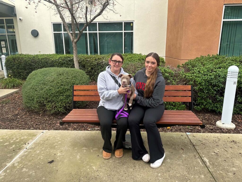 Two women sitting on a bench outside a building, holding a small dog. The woman on the left wears glasses and a gray hoodie, while the woman on the right has long hair and a black top. Green bushes surround them, suggesting a friendly atmosphere related to pet adoption.