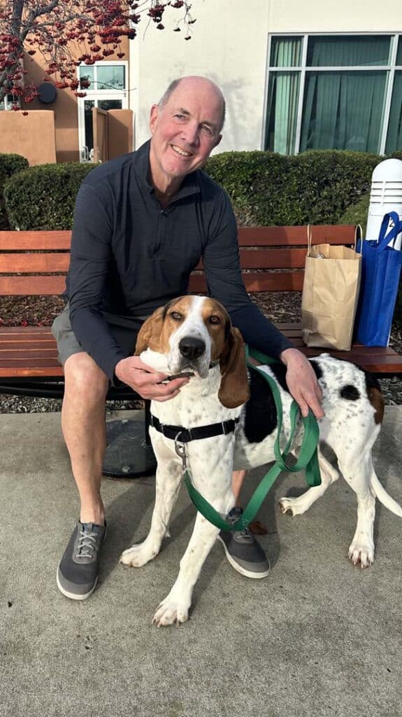 A man sitting on a bench smiles while petting a brown and white dog with a green harness. The dog looks attentive and happy. In the background, there are trees and buildings. This image relates to recent adoptions.