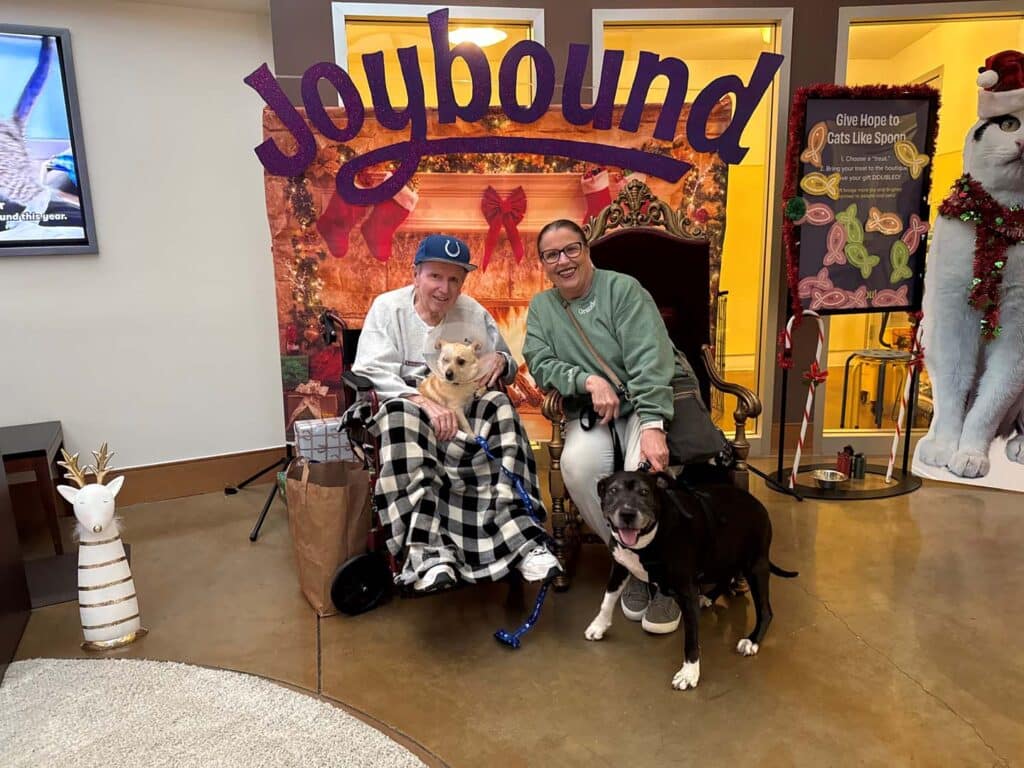 Two people sitting on a chair in a festive setting, each holding a dog. A man with a hat and a woman in a green jacket are positioned in front of a colorful backdrop with the word "Joybound". The scene highlights the joyful theme of pet adoption.