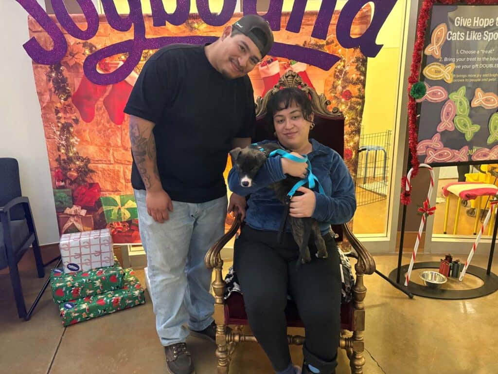 A couple poses in a cozy adoption setting. The man stands behind the woman, who is seated in a decorative chair, holding a small dog. Colorful decorations and gifts are visible in the background, emphasizing a joyful atmosphere.