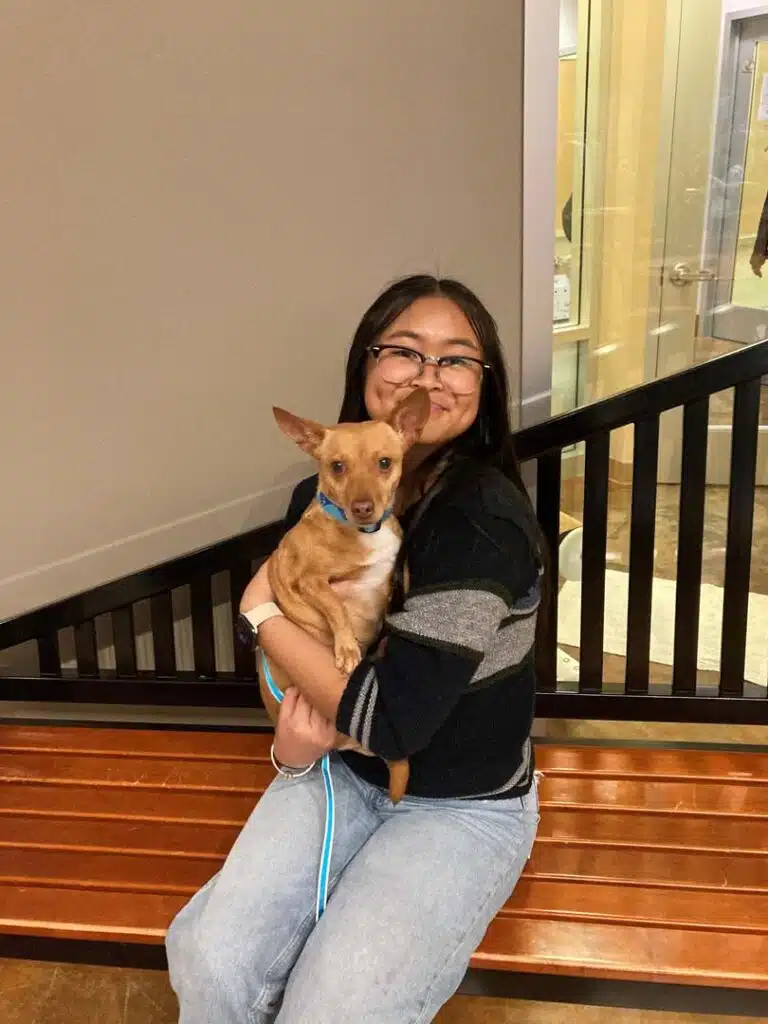 A young woman with glasses is seated on a wooden bench, holding a small brown dog on her lap. The dog has perky ears and a blue collar. The background includes a railing and some light-colored walls, indicating an indoor setting related to adoption.