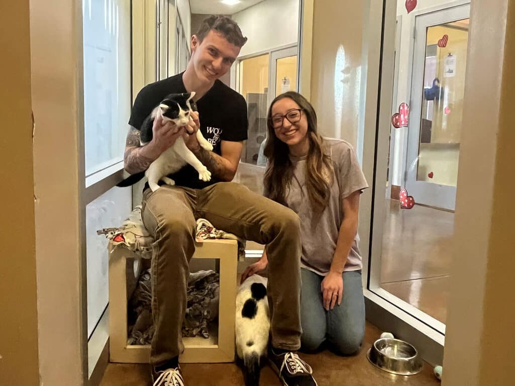 A man sitting on a bench holding an adoptable black-and-white kitten, smiling at the camera. A woman kneels beside him, smiling as another black-and-white kitten approaches her. The interior of an animal shelter is visible, with pet supplies and a welcoming environment.