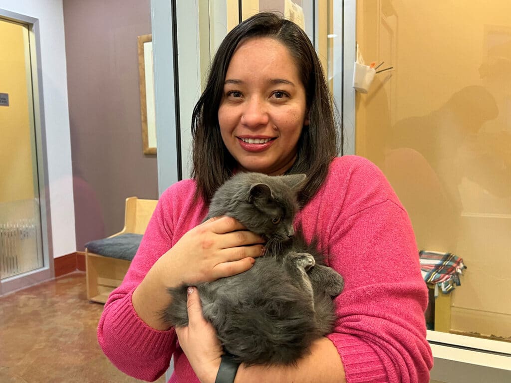 A woman in a pink sweater holding a gray kitten in her arms, smiling while standing in a pet adoption center. The setting features a warm interior with soft lighting and a few furnishings visible in the background.