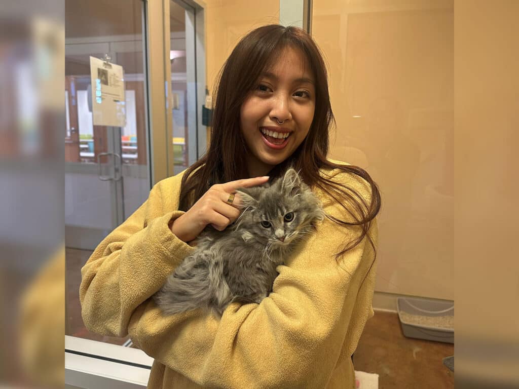 A woman wearing a yellow sweater is smiling and holding a fluffy gray kitten in her arms. She has long hair and is pointing at the kitten. The background shows a brightly lit room, likely an animal shelter, with clear windows.