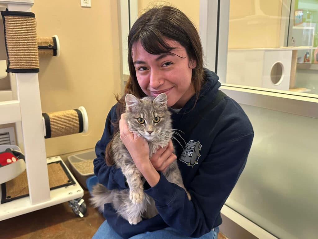 A young woman sitting on the floor with a gray cat in her arms, smiling while looking at the camera. The background shows a pet adoption center with scratching posts and other cats. This image represents a successful pet adoption event.