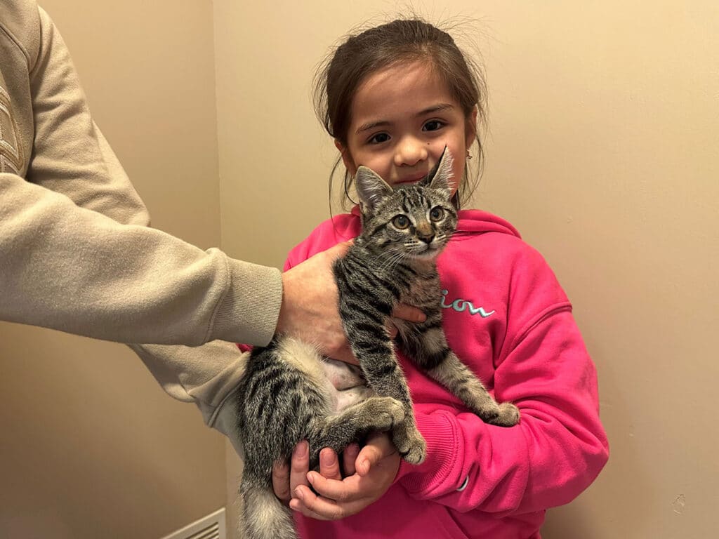 A young girl in a pink hoodie holds a gray tabby kitten while a person supports the kitten from below. They are standing against a light-colored wall, smiling as they pose for the photo. The image reflects the joy of adoption.