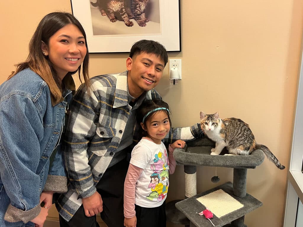 A family of three, consisting of two adults and a young girl, stands together at a pet adoption center. They are next to a cat perched on a scratching post, smiling and interacting with the animal.