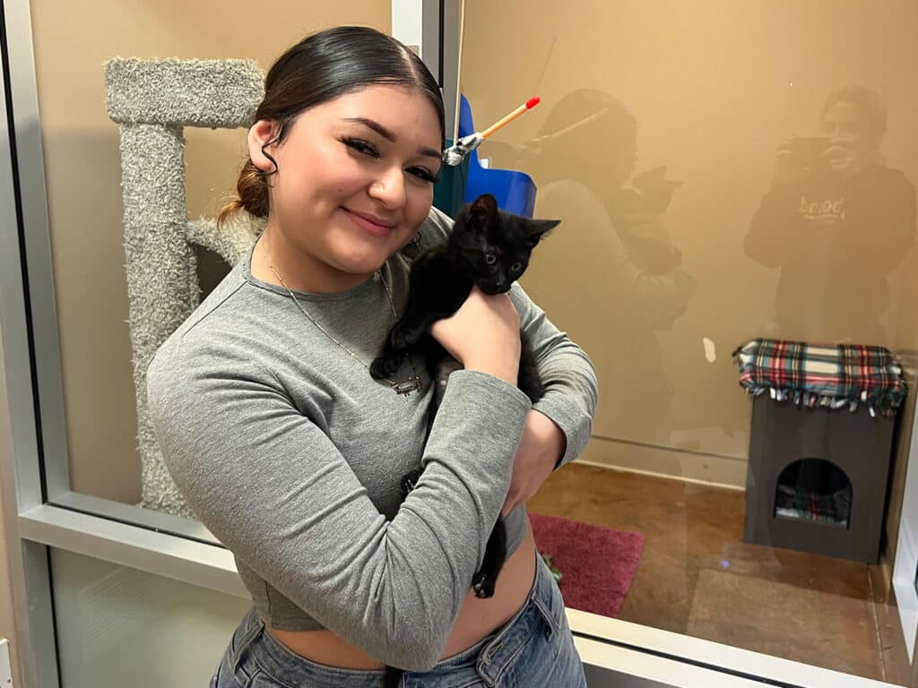 A young woman with a black shirt smiles while holding a black kitten in a room with glass walls, a scratching post, and a cozy pet bed. The scene highlights the adoption process for cats.