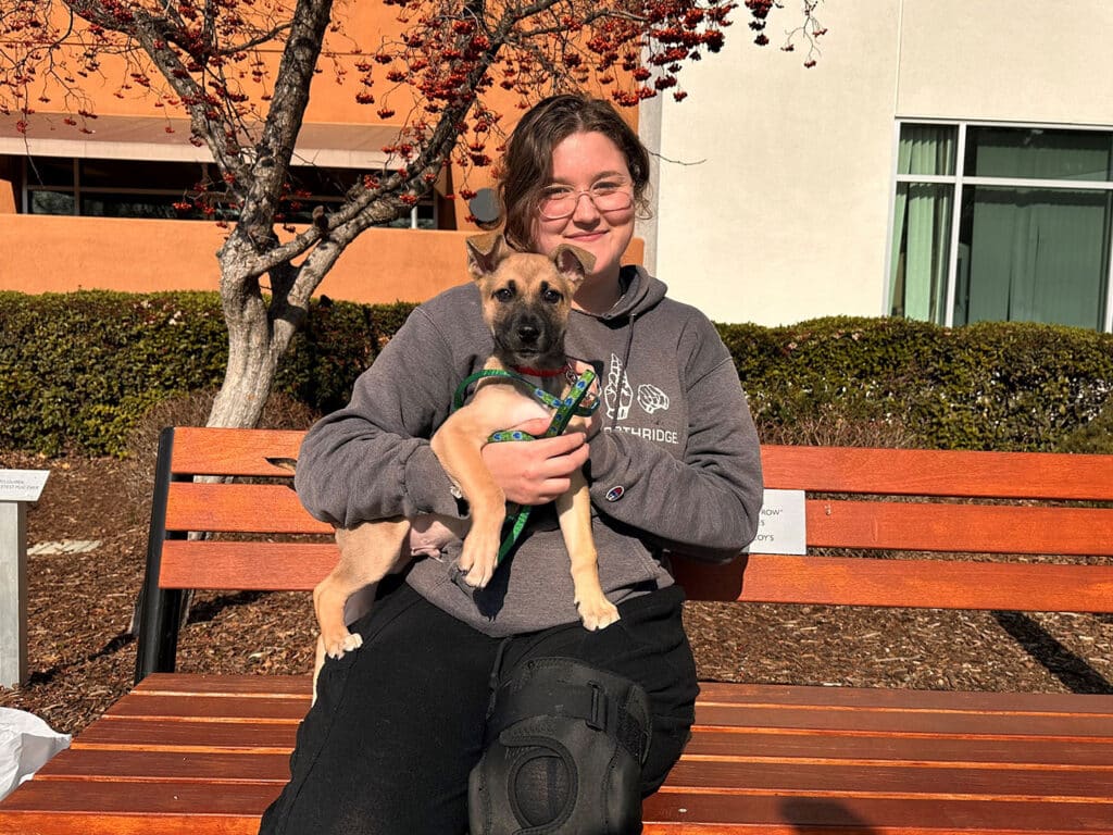 A person sitting on a bench holding a small brown dog with a green harness. The background features a tree with red berries and a modern building, showcasing a bright day. This image highlights a moment of adoption.