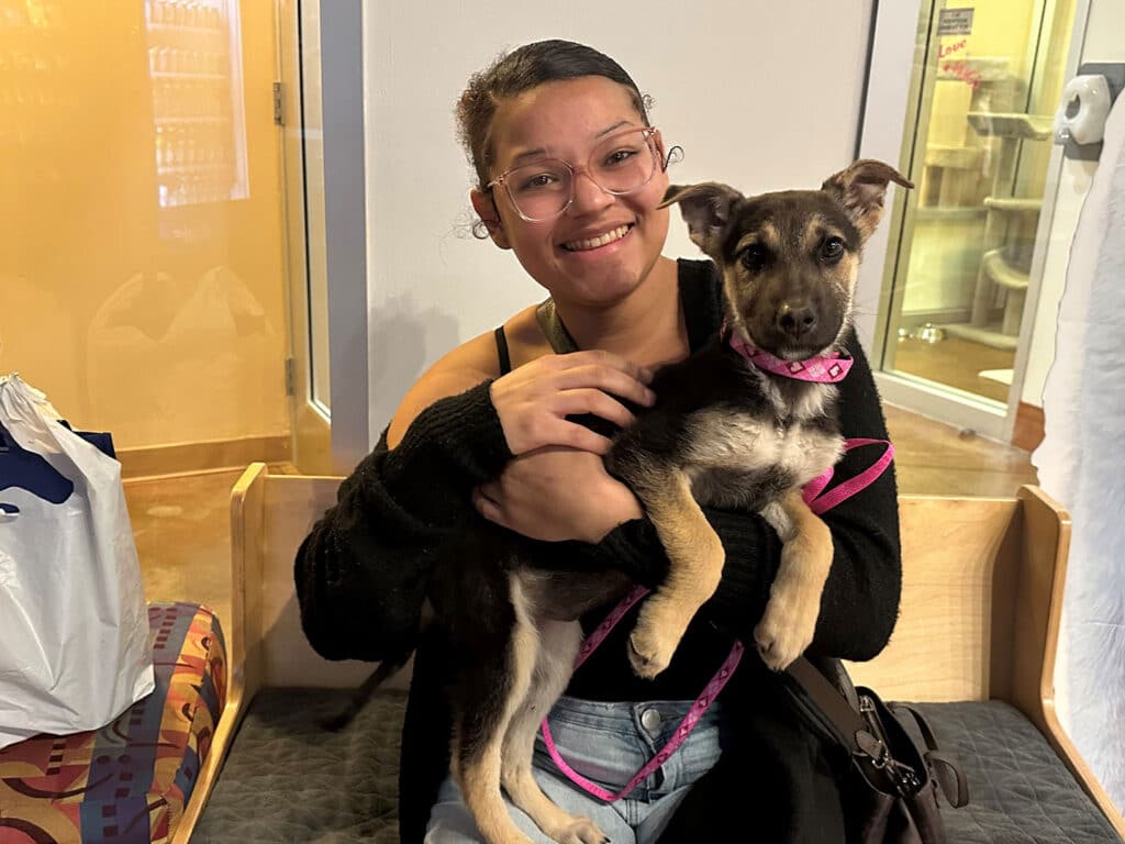 A young woman with glasses sits on a bench holding a small dog with a pink collar. They are inside a well-lit space, and the woman smiles while looking at the camera. The image represents recent pet adoptions.