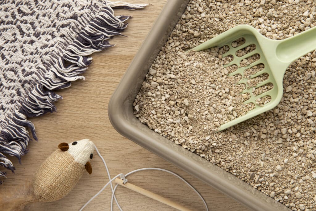 A close-up of a litterbox filled with litter, featuring a green scoop resting on the edge. Nearby, there is a woven rug and a small mouse toy, suggesting a pet-friendly environment.