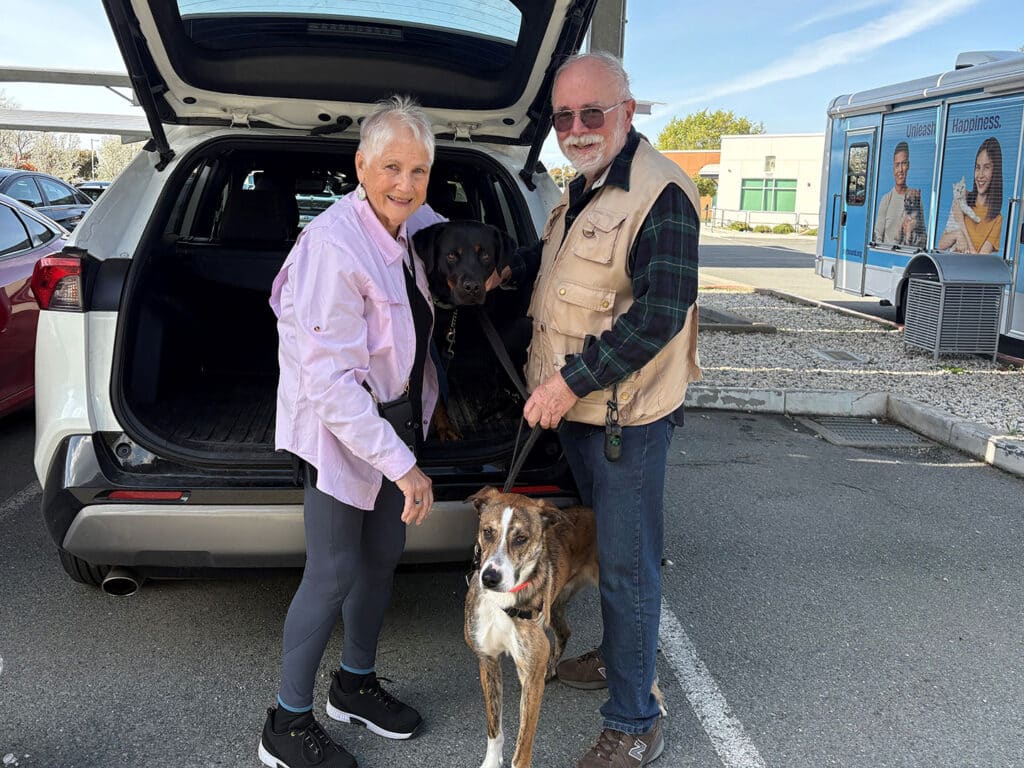 An elderly couple stands beside an open vehicle hatchback, with two dogs leashed to them. The woman is wearing a light purple jacket and black leggings, while the man wears a vest over a plaid shirt. The image highlights themes of pet adoption.
