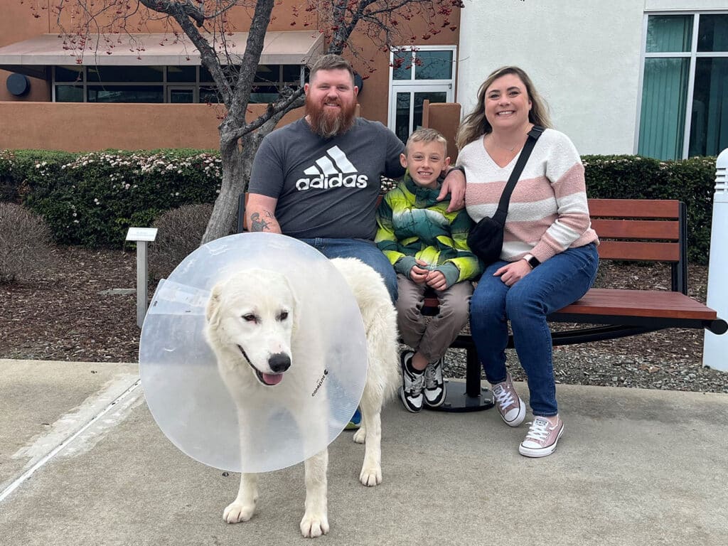 A family of three is sitting on a bench outdoors; a man with a beard and tattoos, a boy in a bright jacket, and a woman are smiling beside a large white dog wearing an Elizabethan collar. The background features trees and a building, evoking a sense of togetherness.
