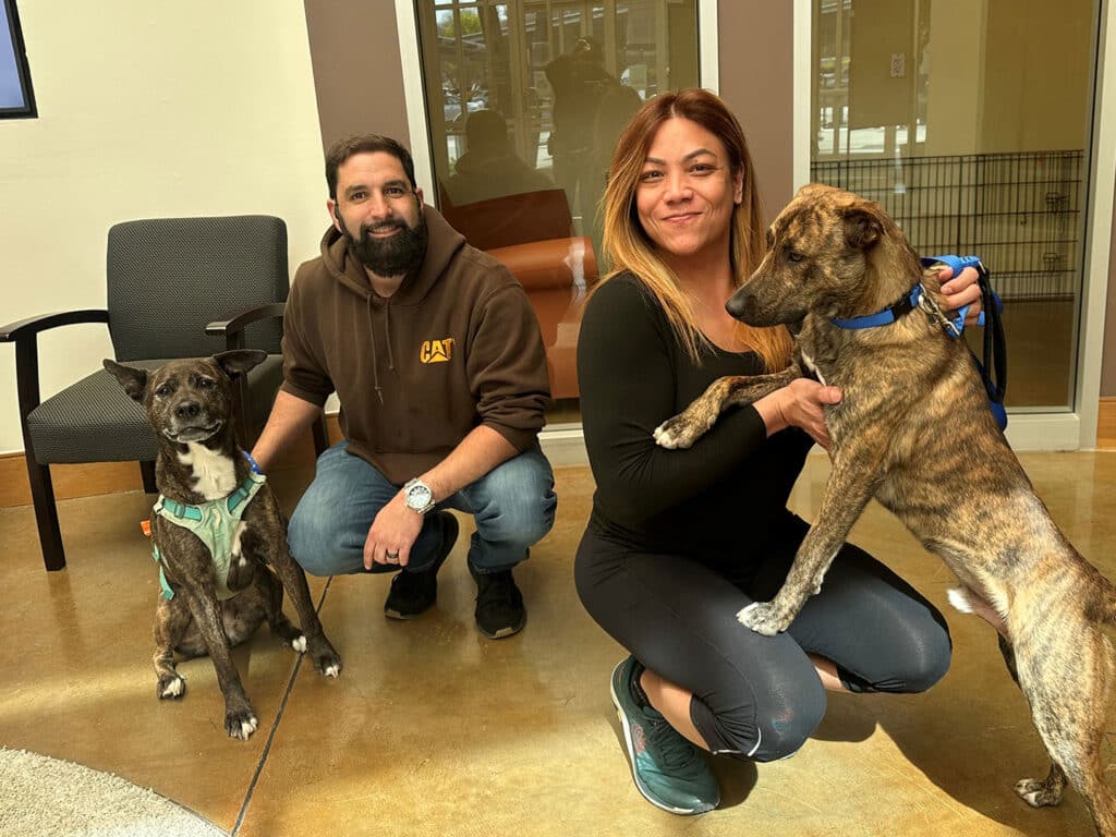 A man and a woman pose in a bright room with two dogs. The man, wearing a hoodie, kneels beside a black and white dog, while the woman holds a brindle dog with a blue leash. The image highlights themes of animal adoption and companionship.