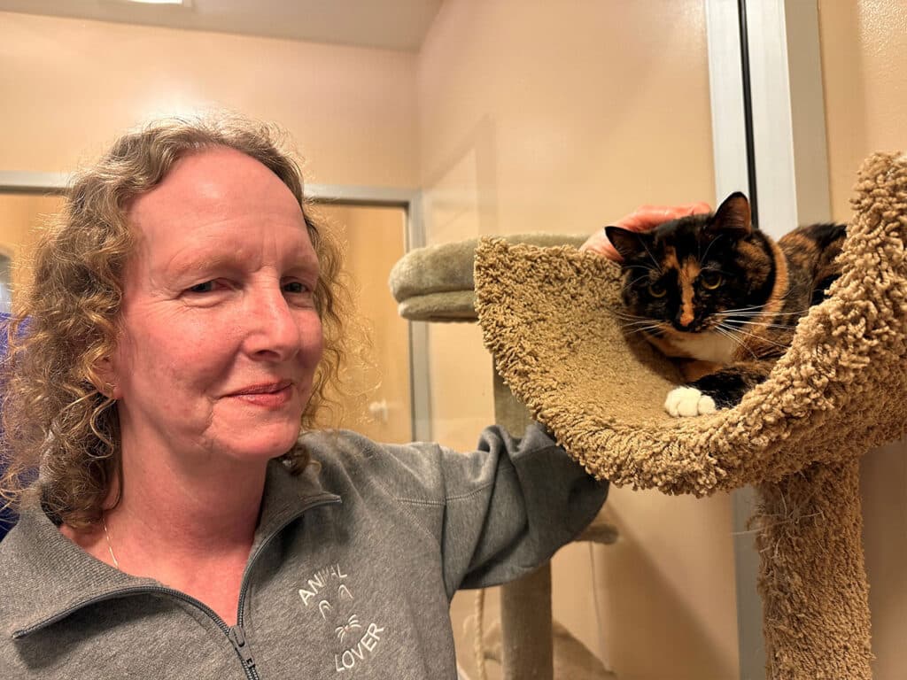 A woman with curly hair sits next to a cat resting on a padded shelf in an animal shelter. The woman wears a gray sweatshirt labeled 'Animal Lover' and gently pets the cat, who has a tortoiseshell coat and is comfortably lying down.