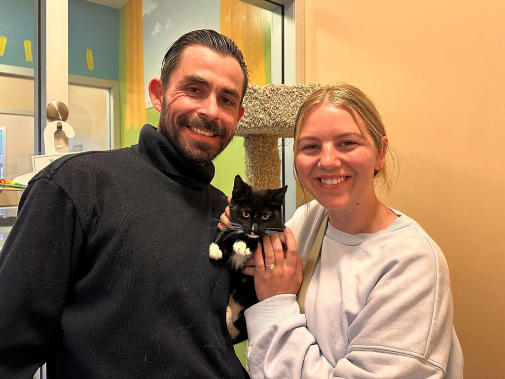 A couple smiles while holding a black and white kitten in a bright room. The man wears a dark sweater and the woman is in a light sweatshirt. A cat tree and colorful decorations are visible in the background, indicating an adoption environment.