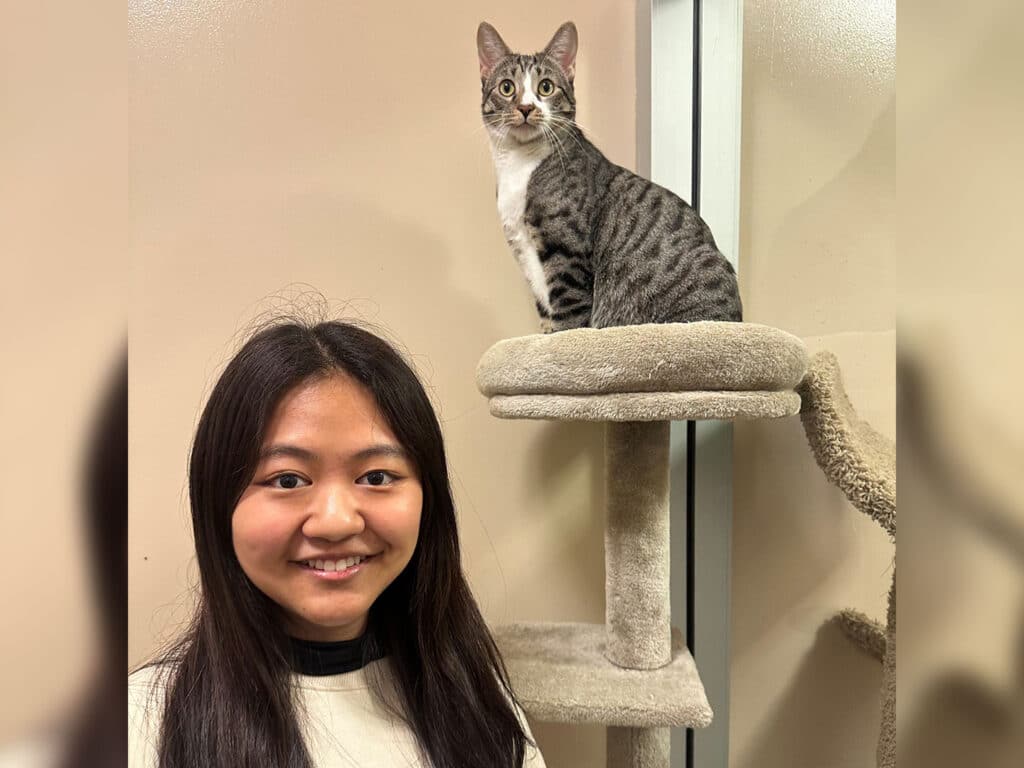 A young woman smiling beside a sleek gray tabby cat sitting on a cat tree. The background features a neutral-colored wall, suggesting a welcoming pet adoption environment. The image highlights the close relationship between pets and potential adopters.
