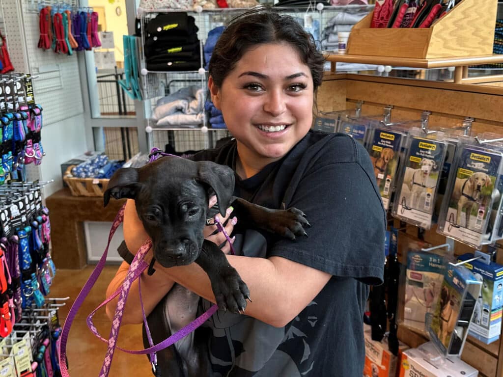 A woman smiling and holding a small black puppy on a leash inside a pet supply store. Various pet supplies, including collars and toys, are visible in the background. This image reflects themes of pet adoption and companionship.