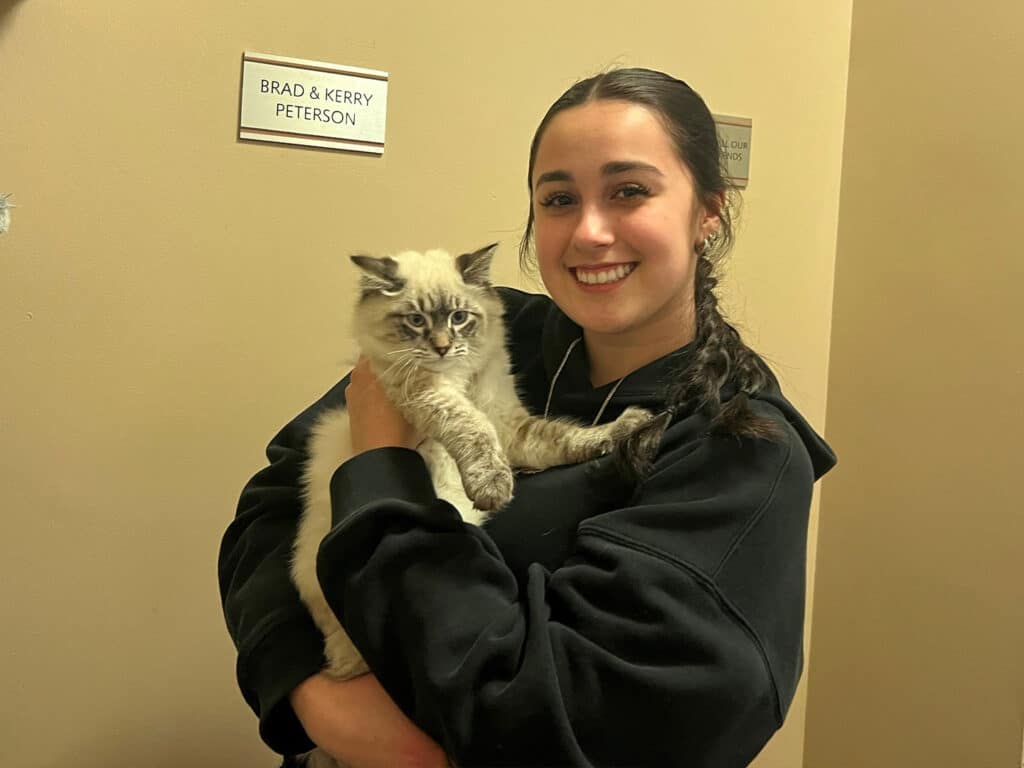 A young woman holding a light-colored cat with blue eyes, smiling while standing in a brightly lit room. A sign on the wall reads "BRAD & KERRY PETERSON." The image emphasizes the theme of adoption in a friendly atmosphere.