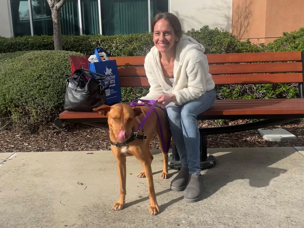A woman sitting on a bench smiles while holding a leash attached to a dog. The dog, a tan-colored mixed breed, appears playful as it stands beside her. A bag and some items are placed on the ground nearby, suggesting a visit possibly related to dog adoption.
