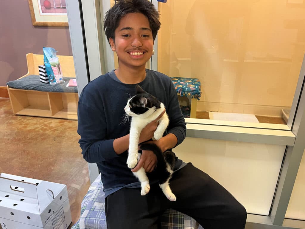 A young boy sitting on a bench inside a shelter, holding a black and white cat in his arms. The backdrop features soft furnishings and a glimpse of a waiting area. This image conveys a moment of companionship, relating to pet adoption.