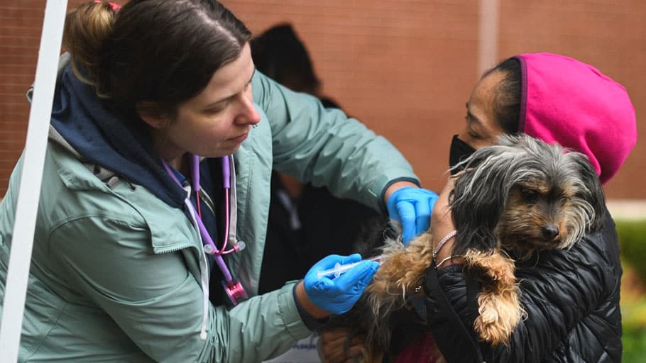 Free Pet Vaccinations & Microchips in Richmond